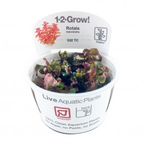 1-2-Grow! Planter